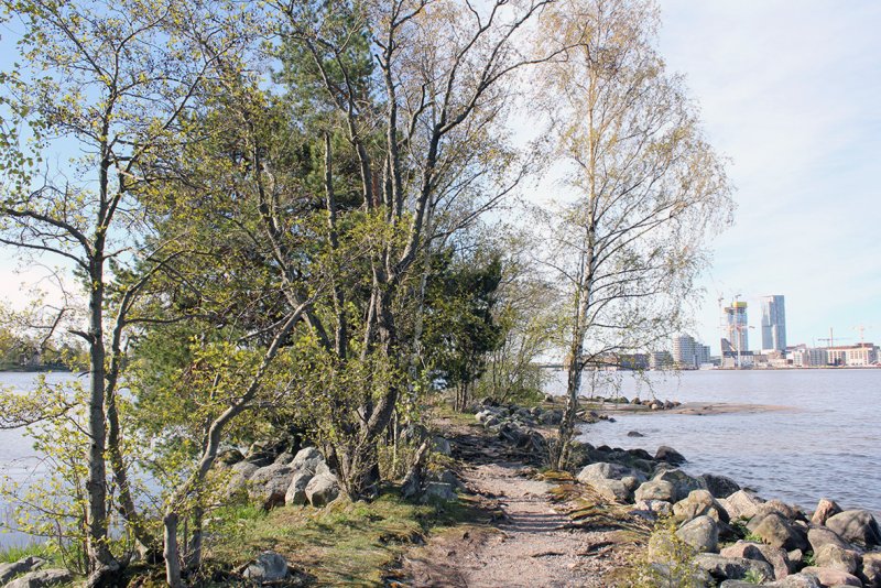 Talvis&auml;ilytyspaikat v&auml;henev&auml;t taas Helsingiss&auml; &ndash; Kivinokan kehitys siirt&auml;&auml; veneit&auml; sivummalle - Uutinen - Totalvene.fi