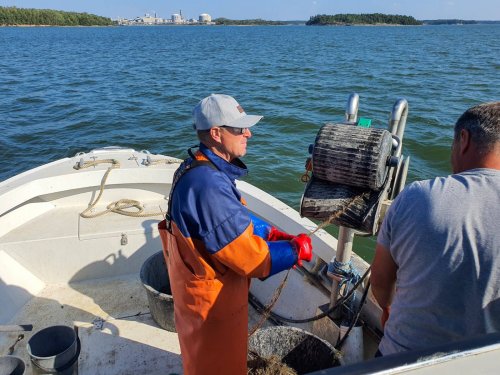 Kolmen vuoden Re:Fish-hanke tuotti konkreettisia tuloksia &ndash; Meriroska kuriin ennaltaehk&auml;isyll&auml; - Uutinen - Totalvene.fi