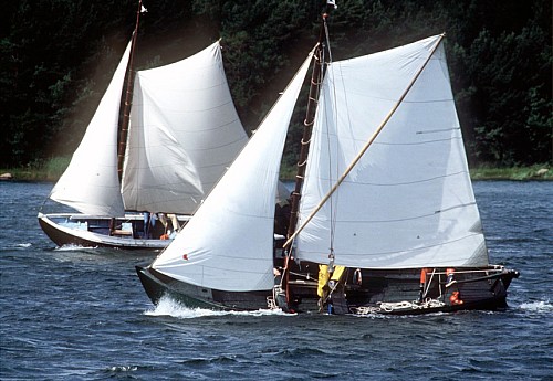 R&ouml;&ouml;l&auml;n silliregatta 1.8.2026 &ndash; R&ouml;&ouml;l&auml;n silliregatassa kisaillaan perinneveneill&auml; - Uutinen - Totalvene.fi
