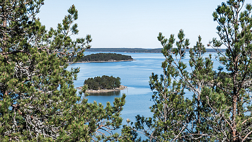 Saaristomeri-ilta Livonsaarella 15.9.2026 &ndash; Vesist&ouml;kunnostuksiin haetaan vauhtia uudella hankkeella - Uutinen - Totalvene.fi