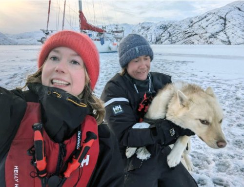 Alluring Arctic on Vuoden veneilyteko &ndash; Uuden sukupolven veneilij&ouml;it&auml; - Uutinen - Totalvene.fi